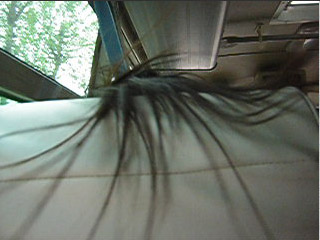 hair.mov ~6.4MB 26secs