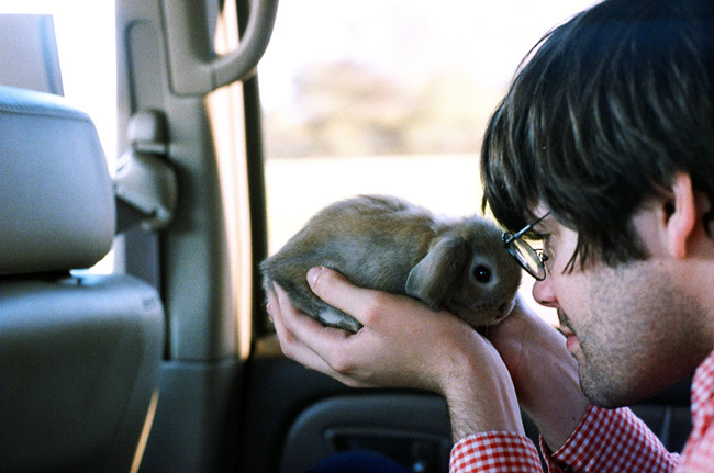 cute rabbit with boy