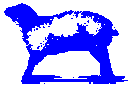  baa 